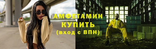 стафф Алзамай