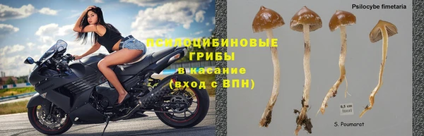 соль курить ск Алексеевка